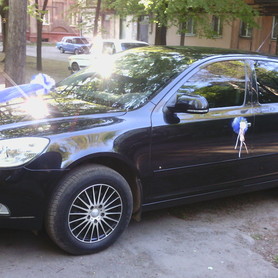 Skoda Octavia A5 - авто на свадьбу в Кривом Роге - портфолио 1