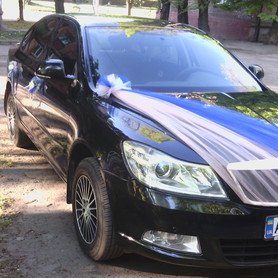 Skoda Octavia A5 - авто на свадьбу в Кривом Роге - портфолио 2