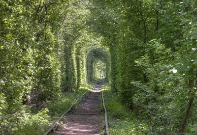Тоннель любви - место для фотосессии в Ровно - портфолио 4