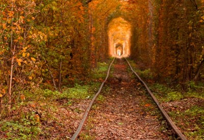 Тоннель любви - место для фотосессии в Ровно - портфолио 6