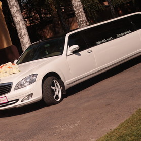 Лімузин Mercedes-Benz W-221 - авто на свадьбу в Ивано-Франковске - портфолио 5