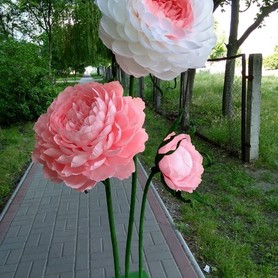 Big flowers - декоратор, флорист в Сумах - портфолио 5