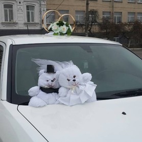 Chrysler 300C - авто на свадьбу в Киеве - портфолио 5