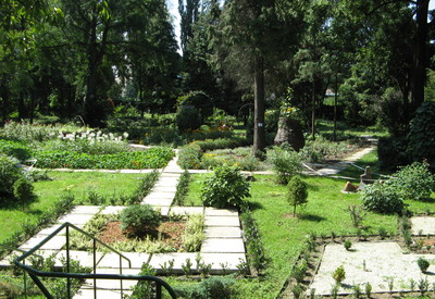Ботанический сад - место для фотосессии в Ужгороде - портфолио 6