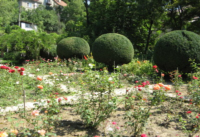 Ботанический сад - место для фотосессии в Ужгороде - портфолио 5