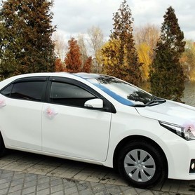 170 Toyota Corolla белая аренда на свадьбу - авто на свадьбу в Киеве - портфолио 2