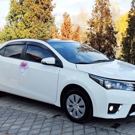 170 Toyota Corolla белая аренда на свадьбу - авто на свадьбу в Киеве - портфолио 4