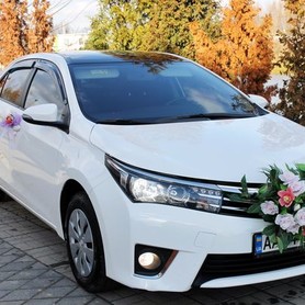 170 Toyota Corolla белая аренда на свадьбу - авто на свадьбу в Киеве - портфолио 5