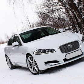 124 Jaguar XF белый 2014 аренда - авто на свадьбу в Киеве - портфолио 4