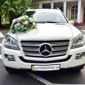 Mercedes GL550 - авто на свадьбу в Виннице - портфолио 1
