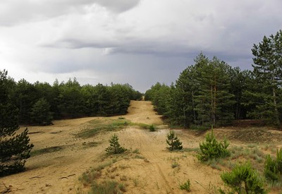 Национальный природный парк "Олешковские пески" - место для фотосессии в Херсонской области - портфолио 4