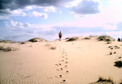 Национальный природный парк "Олешковские пески" - место для фотосессии в Херсонской области - портфолио 2