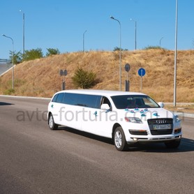 Audi Q7 - авто на свадьбу в Запорожье - портфолио 2