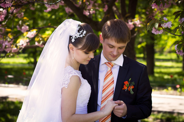 Свадьба Виктора и Ольги - фото №1