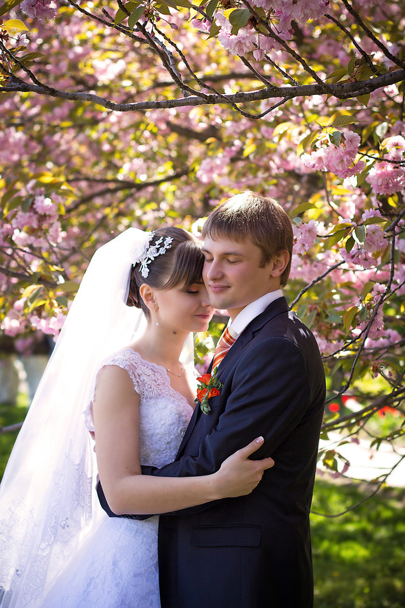Свадьба Виктора и Ольги - фото №2