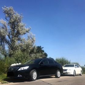 Toyota Camry xv 50 - авто на свадьбу в Тернополе - портфолио 2