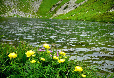 Озеро Бребенескуль - место для фотосессии в Закарпатской области - портфолио 3