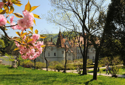 Замок Берегвар - место для фотосессии в Закарпатской области - портфолио 6