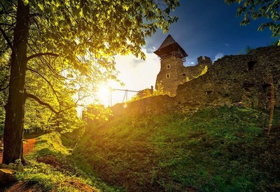 Невицкий замок - фото 2