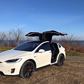 Tesla Model X - авто на свадьбу в Одессе - портфолио 2