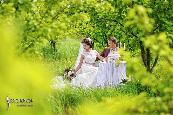  Свадебные фото в яблочном саду, г. Чернигов - фото №13