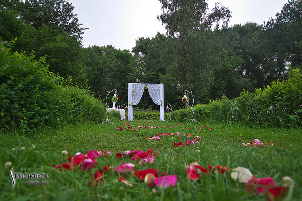  Свадебные фото в яблочном саду, г. Чернигов - фото №48