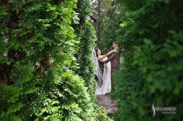  Свадебные фото в яблочном саду, г. Чернигов - фото №34