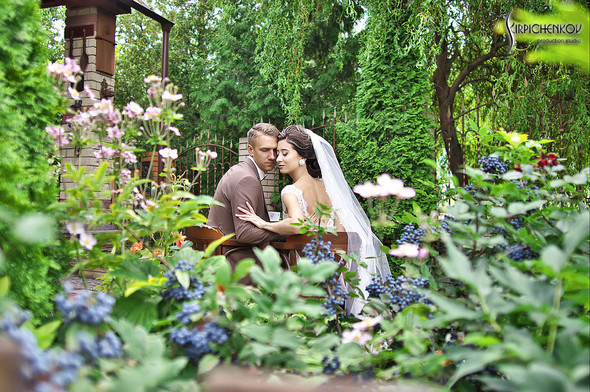  Свадебные фото в яблочном саду, г. Чернигов - фото №39