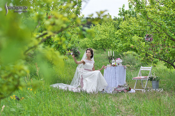  Свадебные фото в яблочном саду, г. Чернигов - фото №10