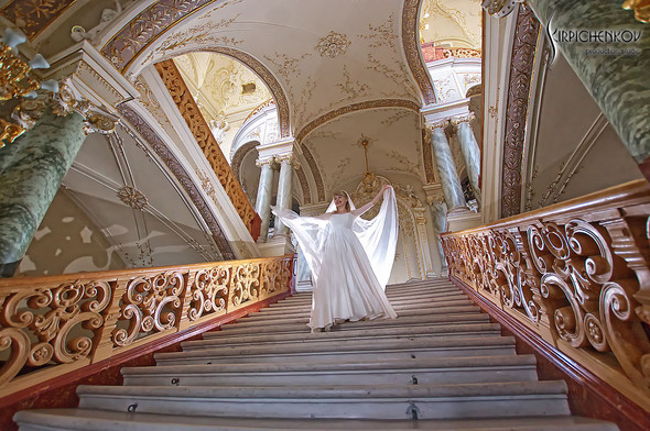 Свадебные фото на море в Одессе, фото в Оперном театре и на маковом поле - фото №75