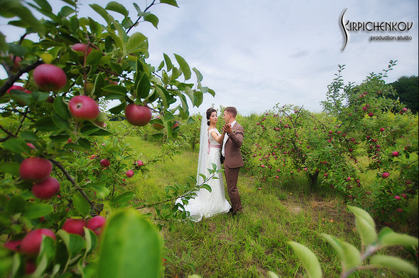  Свадебные фото в яблочном саду, г. Чернигов - фото №22