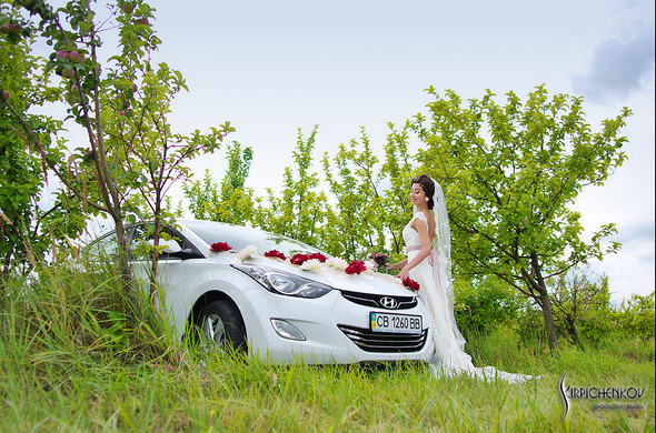  Свадебные фото в яблочном саду, г. Чернигов - фото №18