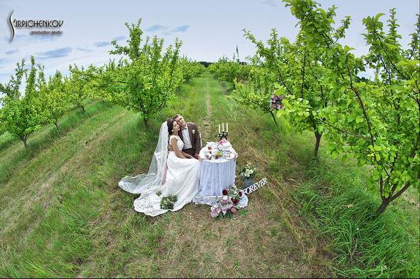  Свадебные фото в яблочном саду, г. Чернигов - фото №15