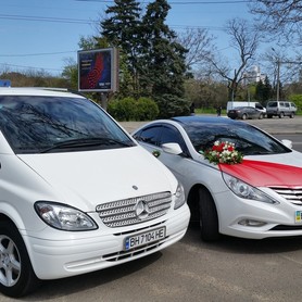 Mersedes Sprinter - авто на свадьбу в Одессе - портфолио 5
