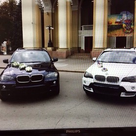 BMW Х5 - авто на свадьбу в Полтаве - портфолио 1