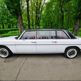 210 Ретро автомобиль Mercedes 1969 - авто на свадьбу в Киеве - портфолио 3