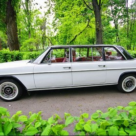 210 Ретро автомобиль Mercedes 1969 - авто на свадьбу в Киеве - портфолио 2