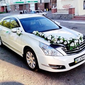 141 Nissan Teana белая - авто на свадьбу в Киеве - портфолио 1