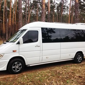 317 Микроавтобус Mercedes Sprinter - авто на свадьбу в Киеве - портфолио 2