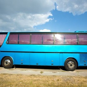 328 Автобус Setra 312 - авто на свадьбу в Киеве - портфолио 2