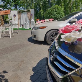 Honda ACCORD Black&White - авто на свадьбу в Хмельницком - портфолио 4