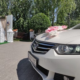 Honda ACCORD Black&White - авто на свадьбу в Хмельницком - портфолио 5