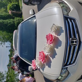 Honda ACCORD Black&White - авто на свадьбу в Хмельницком - портфолио 3