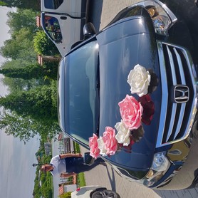 Honda ACCORD Black&White - авто на свадьбу в Хмельницком - портфолио 2