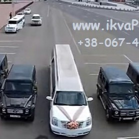 Лимузины Франковск - авто на свадьбу в Ивано-Франковске - портфолио 1