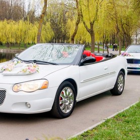 прокат авто на весілля Седани ауді бмв мерседес кр - авто на свадьбу в Луцке - портфолио 6
