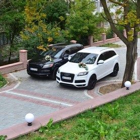 Audi Q7 - авто на свадьбу в Тернополе - портфолио 2