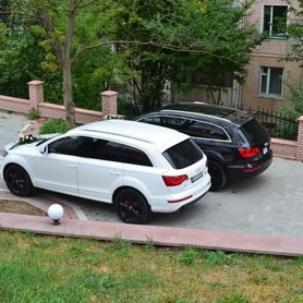Audi Q7 - авто на свадьбу в Тернополе - портфолио 6