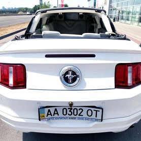 Ford Mustang - авто на свадьбу в Киеве - портфолио 4