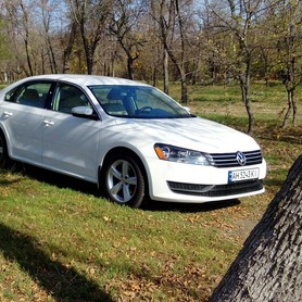 Volkswagen Passat Comfort - авто на свадьбу в Мариуполе - портфолио 4